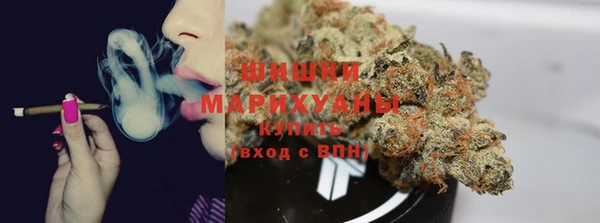 ГАЛЛЮЦИНОГЕННЫЕ ГРИБЫ Балахна