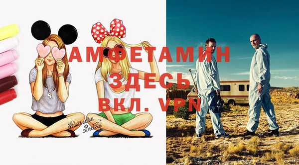 ГАЛЛЮЦИНОГЕННЫЕ ГРИБЫ Балахна