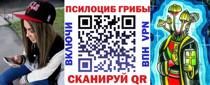 наркошоп  Лесосибирск  Галлюциногенные грибы Psilocybe 